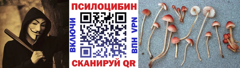 Галлюциногенные грибы Cubensis  цена   Советск 