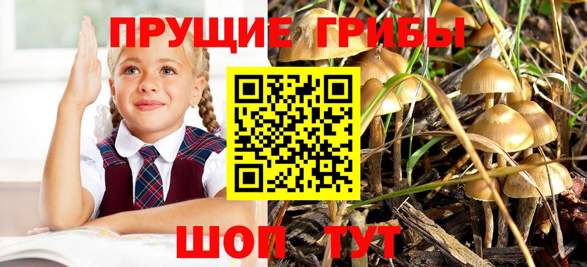 Псилоцибиновые грибы MAGIC MUSHROOMS Советск