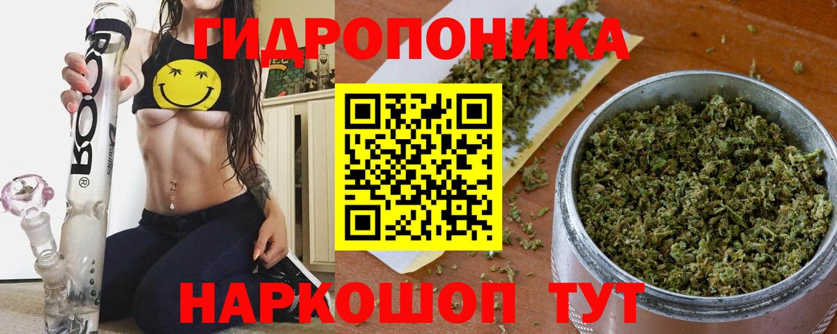 Советск  Бошки Шишки сатива  Бошки марихуана план  Вход с VPN  Шишки марихуана Bruce Banner 
